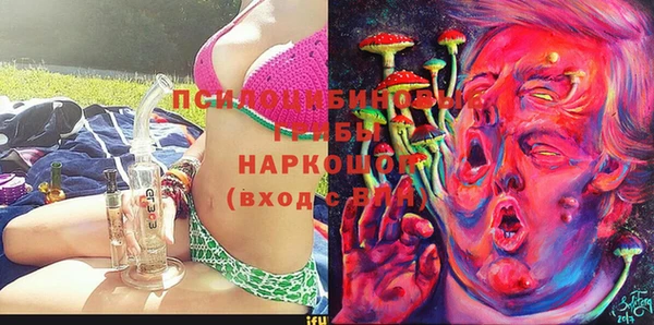 прущие крисы Осинники